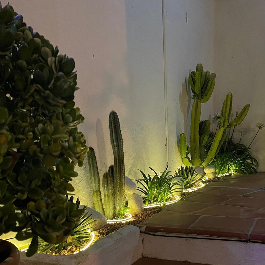 Готель Terra Aloe Торремолінос Екстер'єр фото